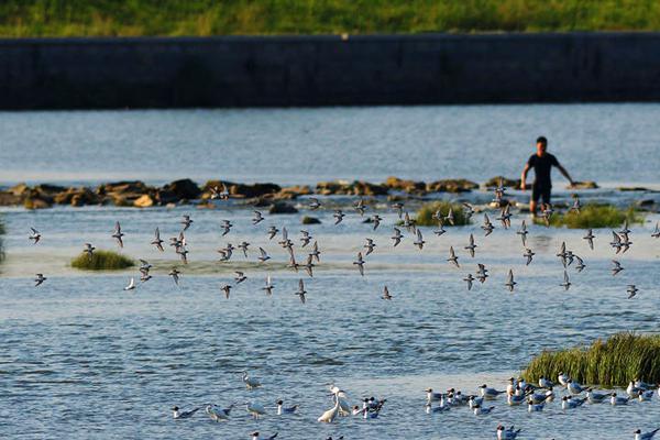 和尚庙里猛如虎免费在线阅读_四缺一_全集最新 示例图 - 说明文字