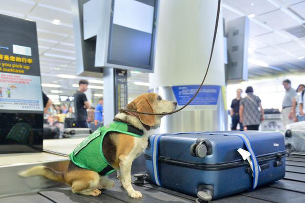 如何精挑交合集1300部作品最优的中文汉字 示例图 - 说明文字