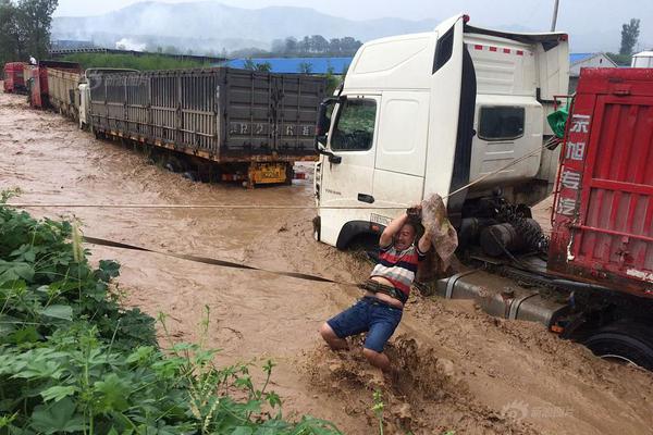 军情五处第四季全集免费在线观看-英国欧 示例图 - 说明文字