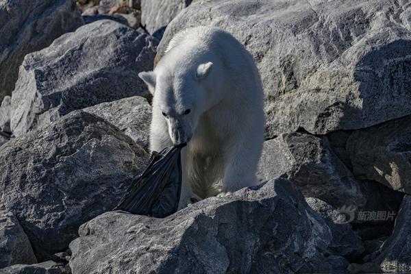 cf电竞新星云悠悠人物介绍游戏攻略 示例图 - 说明文字