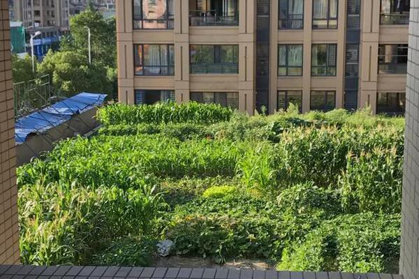 zoomservo兽-科技幻想未来生物 示例图 - 说明文字