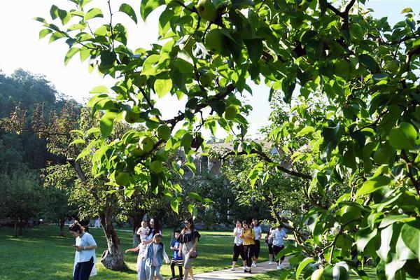 7x7x7x7x任意槽2023新品购买推荐 示例图 - 说明文字