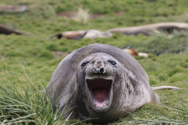 呕吐=美团姑娘怎么约，美团骑手如何进行预约(2024-12-07 21-0) 示例图 - 说明文字