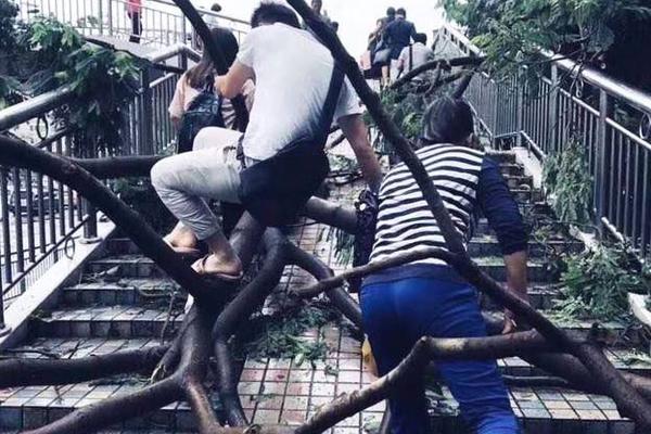 免费观看军情五处第四季电视剧完整版-英国欧 示例图 - 说明文字