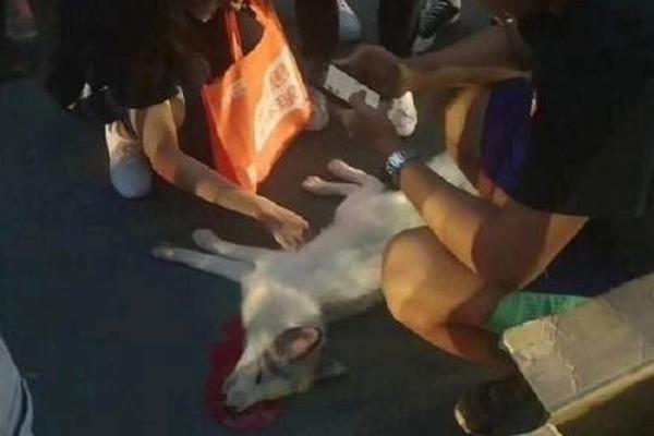 后座小孩带妈妈去姥姥家电子书(姀锡)小说在线全文阅读 示例图 - 说明文字