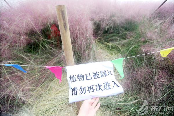 和尚庙里猛如虎免费在线阅读_四缺一_全集最新 示例图 - 说明文字