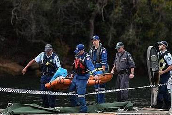 如何精挑交合集1300部作品最优的中文汉字 示例图 - 说明文字