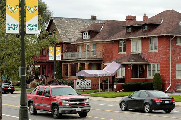 zoomservo兽-科技幻想未来生物 示例图 - 说明文字