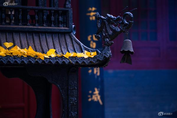 小舞奇遇记下拉漫画txt全集电子书免费下载奇猫趣事网 示例图 - 说明文字