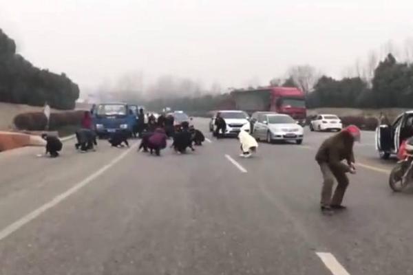 免费观看军情五处第四季电视剧完整版-英国欧 示例图 - 说明文字