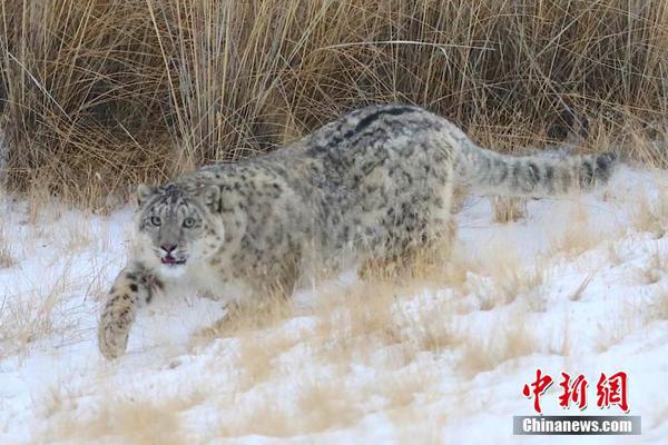 2024年管家婆100%中奖安全设计说明法 示例图 - 说明文字