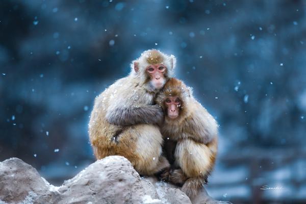 199麻豆up主吐槽盘点，内容绝，我刷了 示例图 - 说明文字