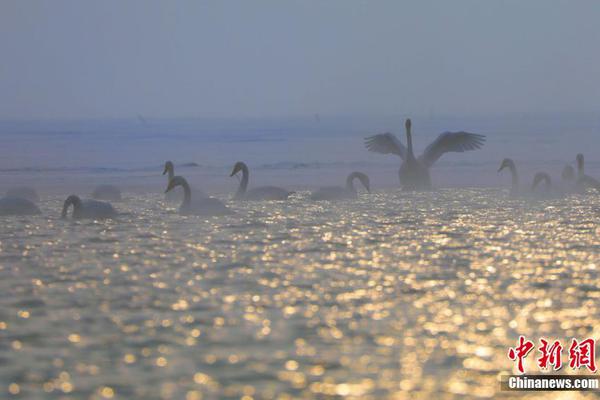 2024年管家婆100%中奖安全设计说明法 示例图 - 说明文字