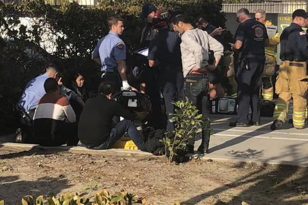 ...亚托莉我挚爱的时光手机版v 示例图 - 说明文字