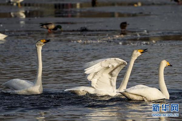 如何精挑交合集1300部作品最优的中文汉字 示例图 - 说明文字