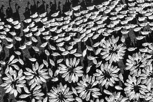 199麻豆up主吐槽盘点，内容绝，我刷了 示例图 - 说明文字