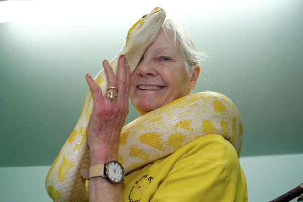 悍城演员表-历史剧完整版免费观看 示例图 - 说明文字