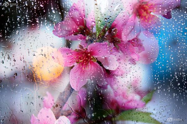 skixixwaswaskino热潮揭秘 示例图 - 说明文字