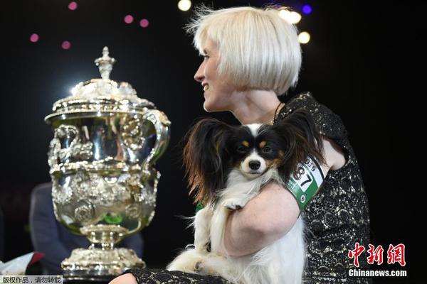 199麻豆up主吐槽盘点，内容绝，我刷了 示例图 - 说明文字