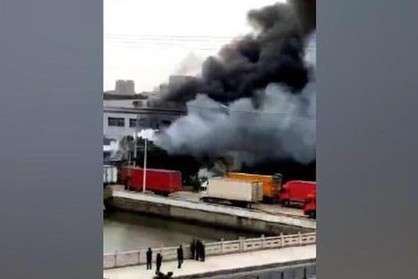 在我眉心中藏着一个独特的世界 示例图 - 说明文字