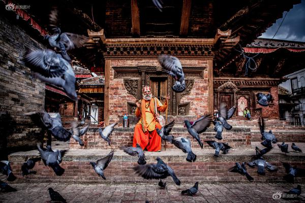 2023奥门正版生肖图v5.6.5 - 生肖图软件下载 示例图 - 说明文字