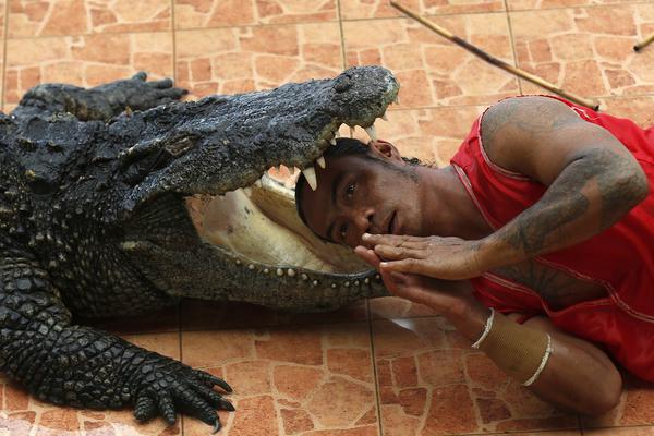 sone-359车牌号鹫尾芽衣升级k罩 示例图 - 说明文字