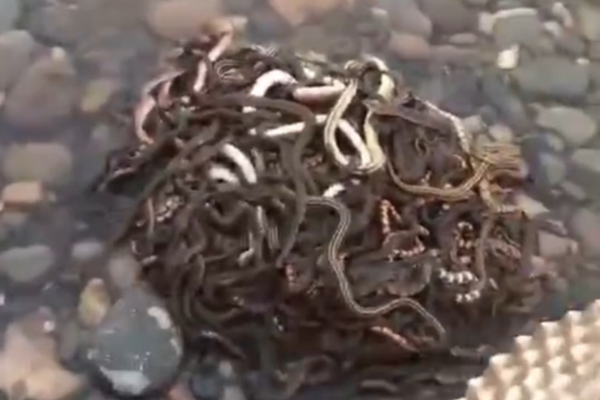 sone-359车牌号鹫尾芽衣升级k罩 示例图 - 说明文字