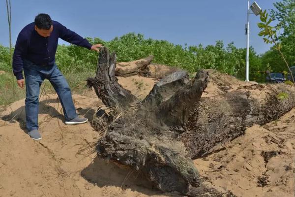 和尚庙里猛如虎免费在线阅读_四缺一_全集最新 示例图 - 说明文字