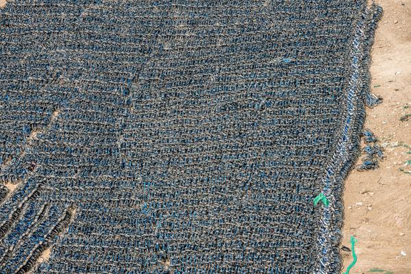 2023奥门正版生肖图v5.6.5 - 生肖图软件下载 示例图 - 说明文字