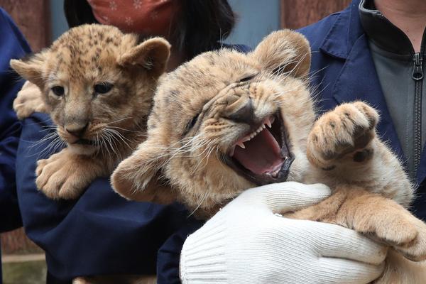 公司公厕小说免费阅读2025最新章节更新 示例图 - 说明文字