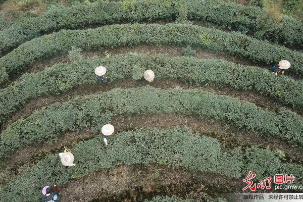 惊人色骚妇公共场合大胆视频曝光 示例图 - 说明文字