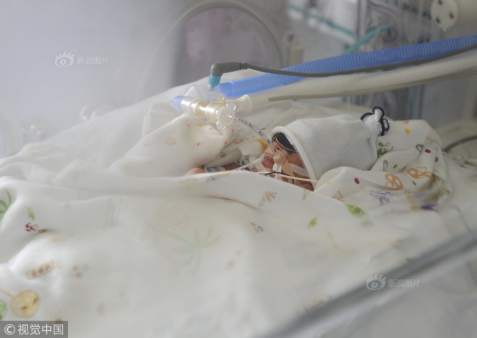 018期澳门彩报-3d图库 示例图 - 说明文字