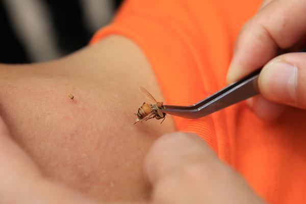 26uuu偷拍亚洲欧洲综合精彩镜头 示例图 - 说明文字