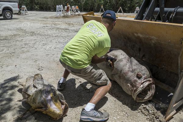 18岁流白浆原因-生理现象还是需要治疗-荟 示例图 - 说明文字