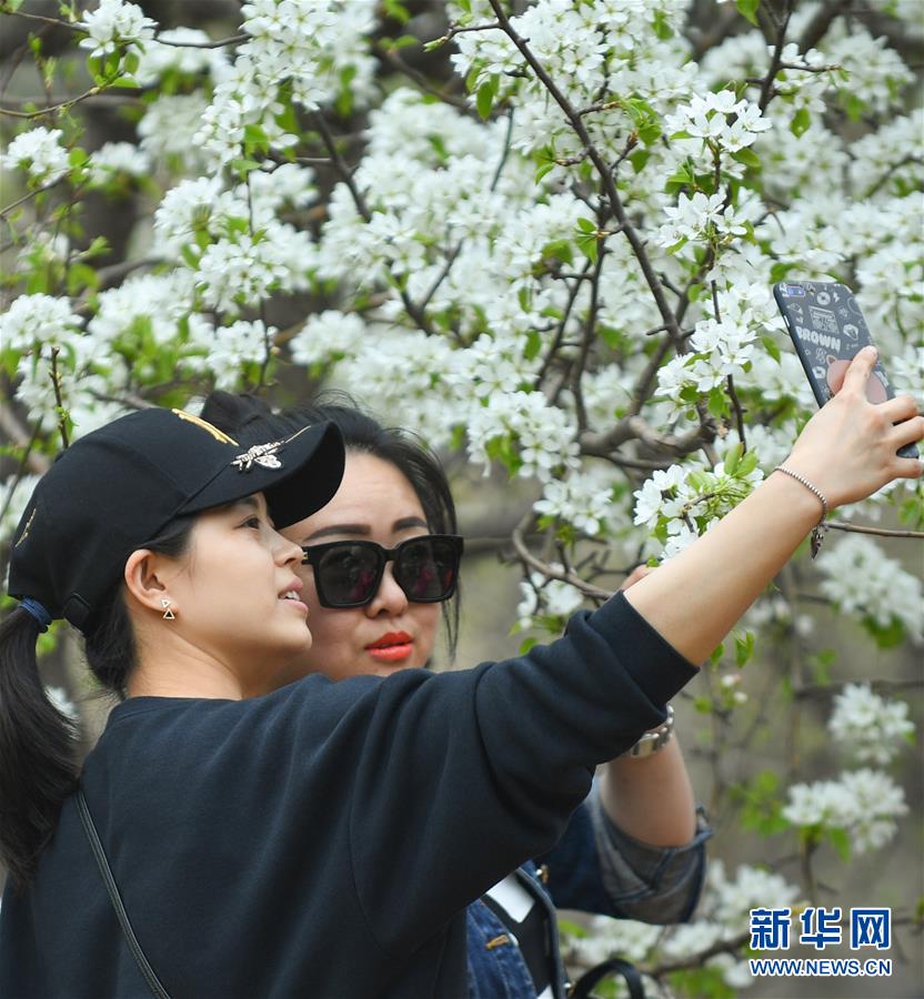 20cm长的棉签在晚上有什么用处 示例图 - 说明文字