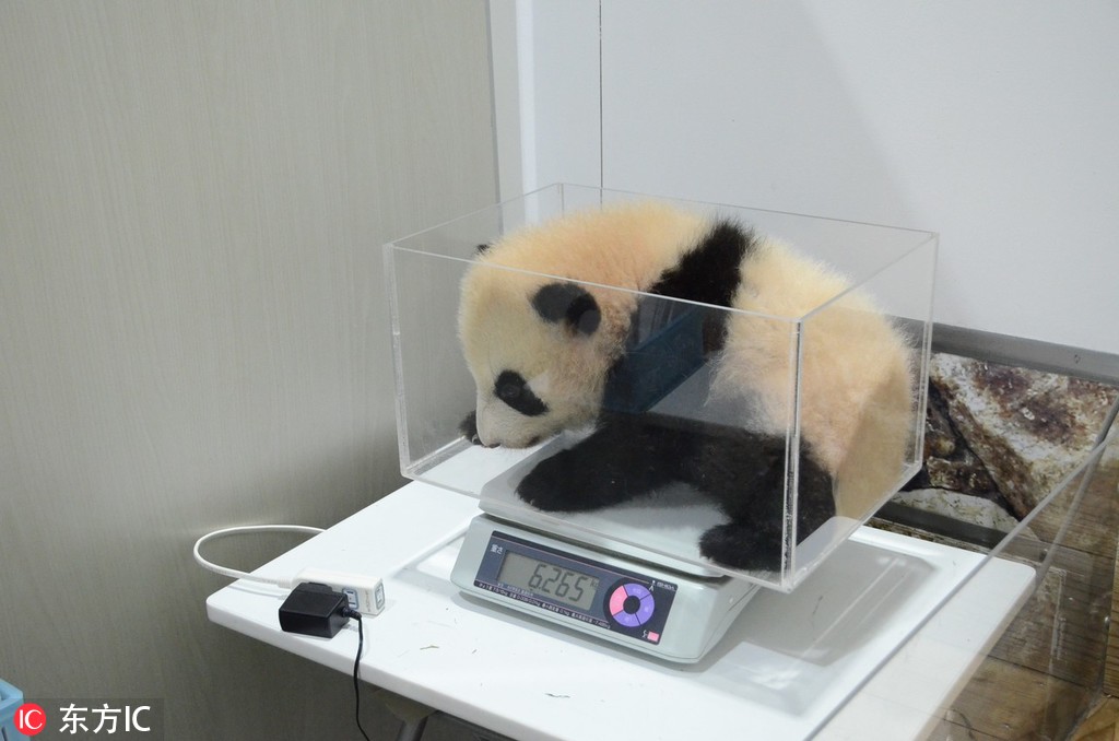 日韩精品人妻无码久久影院神马影院在线top在线播放堂电影网 示例图 - 说明文字