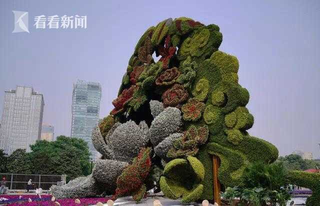 2023奥门正版生肖图v5.6.5 - 生肖图软件下载 示例图 - 说明文字