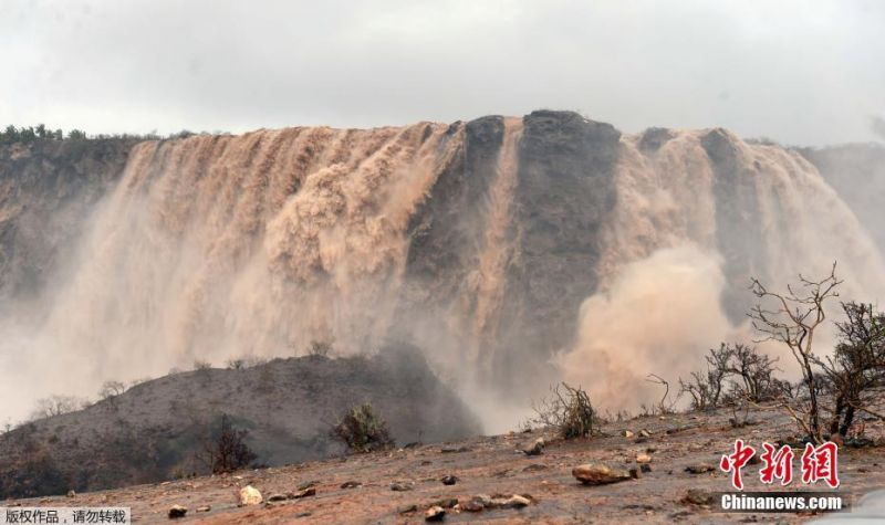 1000部18岁啪啪啪视频-少年之痛杨妞花希望 示例图 - 说明文字