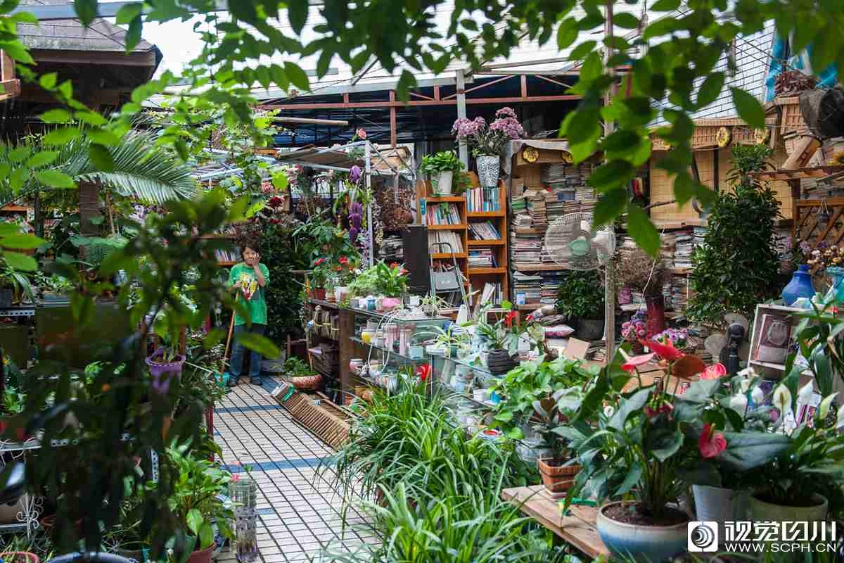 1000部18岁啪啪啪视频-少年之痛杨妞花希望 示例图 - 说明文字