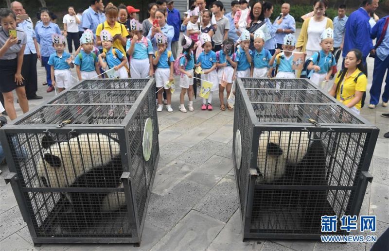 [ssis-899]山手梨惊艳演绎 仰天长啸美若天仙! 示例图 - 说明文字