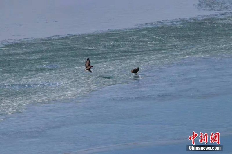 7x7x7x7x任意槽2023新品购买推荐 示例图 - 说明文字