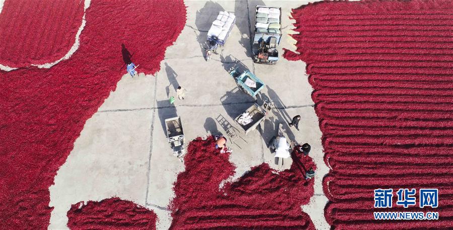 18岁流白浆原因-生理现象还是需要治疗-荟 示例图 - 说明文字