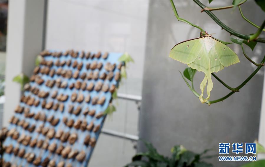 双女车车高清资源在线观看视 示例图 - 说明文字