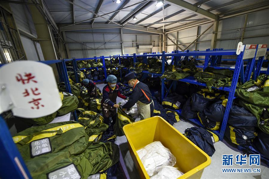 zoomservo兽-科技幻想未来生物 示例图 - 说明文字