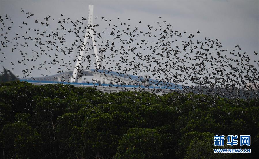 如何精挑交合集1300部作品最优的中文汉字 示例图 - 说明文字