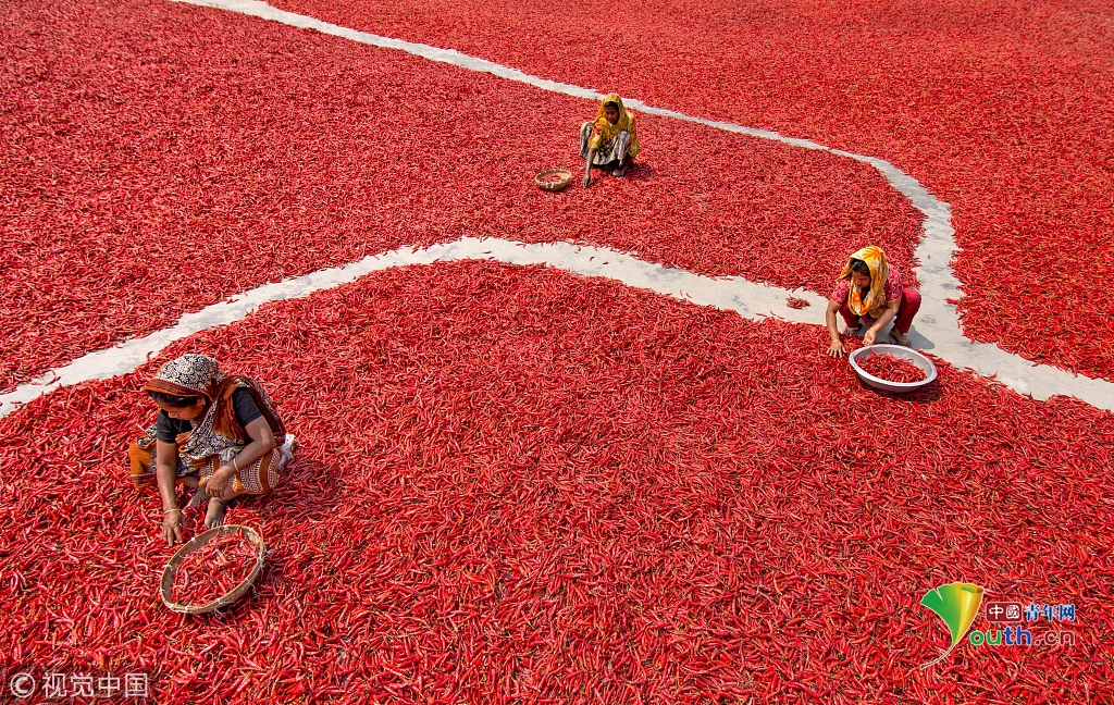 交合集重磅来袭1300部作品如何筛选最佳中文汉字内 示例图 - 说明文字