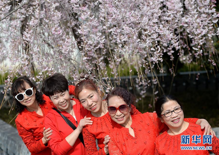 18游戏入口指南，全方位避免问题和风险 示例图 - 说明文字