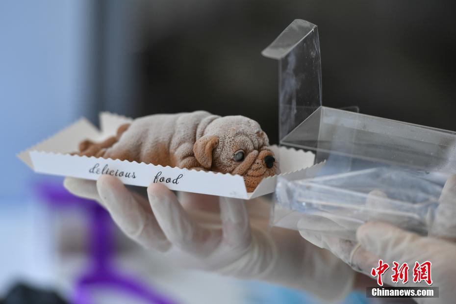 26uuu偷拍亚洲欧洲综合精彩镜头 示例图 - 说明文字