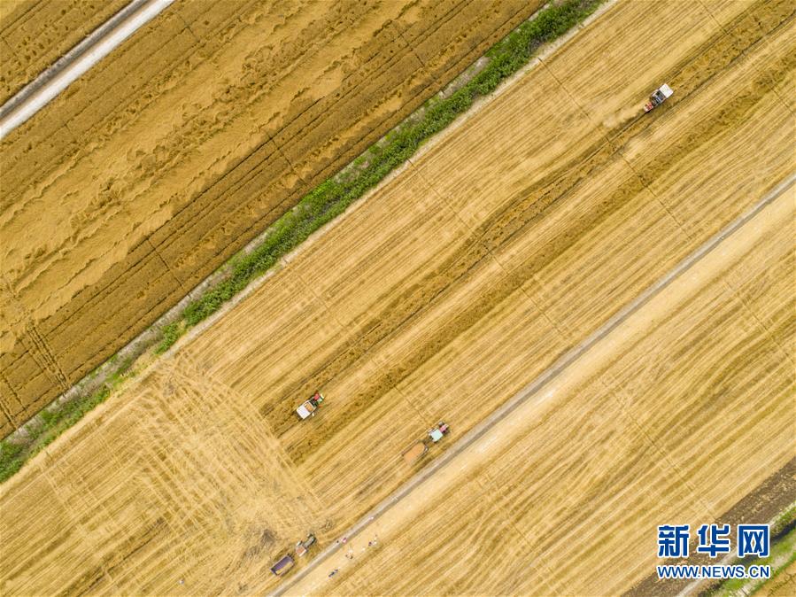 [ssis-899]山手梨惊艳演绎 仰天长啸美若天仙! 示例图 - 说明文字