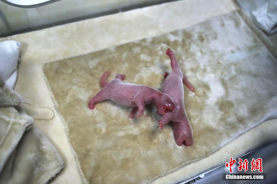 上位勾引h师生出轨兔子爱吃草新章节-上位勾引 示例图 - 说明文字